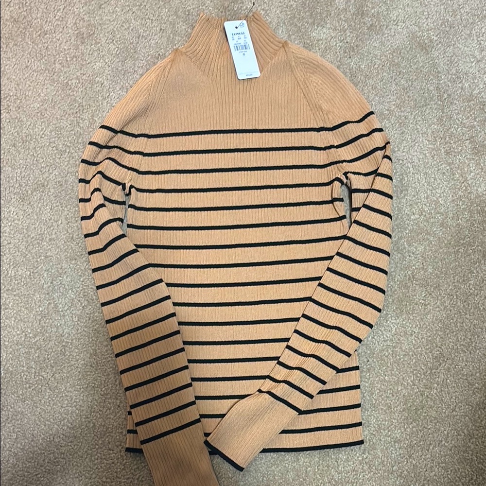 Express Tan and Black Striped Turtleneck Sweater
